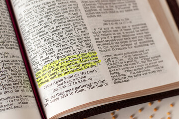 Obraz premium Open holy bible book with mustard seeds. Faith and trust in God Jesus Christ, biblical concept.