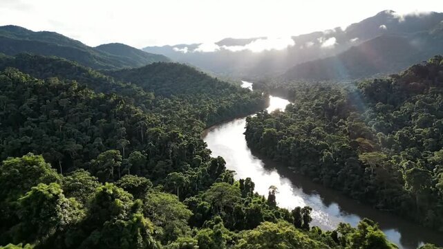 Aerial view of a lush rainforest with a winding river and mountain range bathed in sunlight