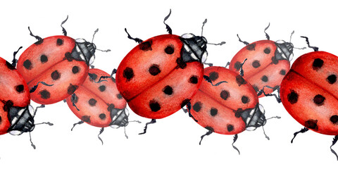 Fototapeta premium A watercolor border of red ladybugs on a white background; detailed hand-painted in a natural style for invitations, cards, branding, packaging, stationery, and wall decor.