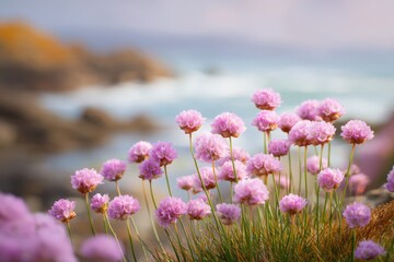 Obraz premium Vibrant sea pink flowers in bloom along a coastal area, with selective focus