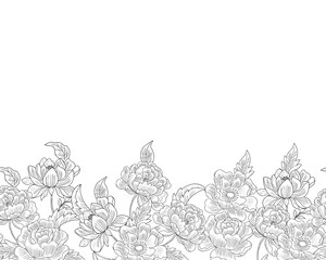 Elegant Line Art Floral Border with Peonies