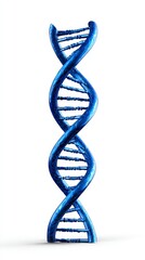 Vibrant Blue DNA Helix on White Background