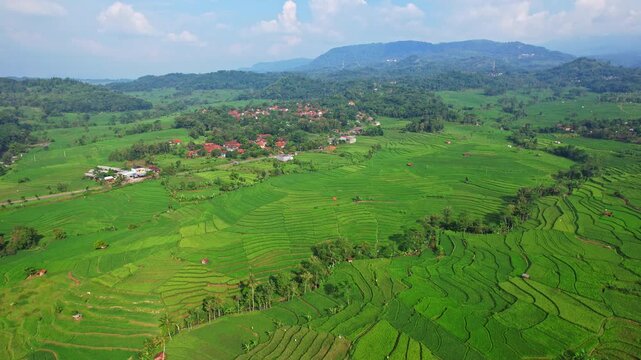 Aerial drone footage of a wide green low terrace rice field plain, with river passing by, trees around, and villages behind with mountains, nearby Jatigede reservoir, Sumedang regency, Java, Indonesia