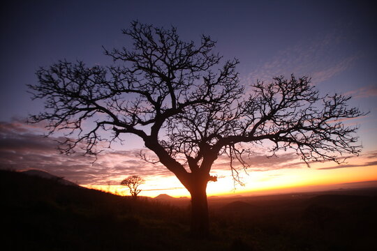 Sunrise in Arusha, Tanzania