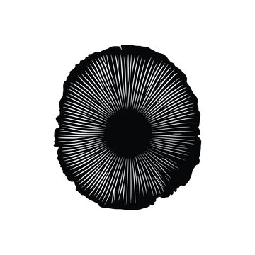 Black and white mushroom cap top view vector