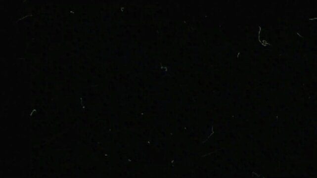 Film burn effect with cinematic transition for shaping mood and visual continuity in edits