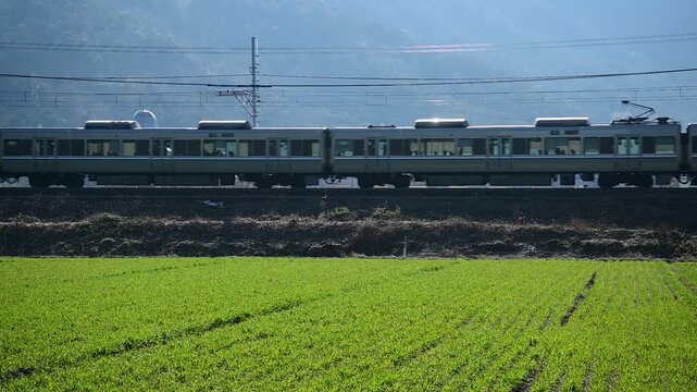 春の安土を走る225系普通列車 （東海道本線 安土 - 能登川, 2025年3月）