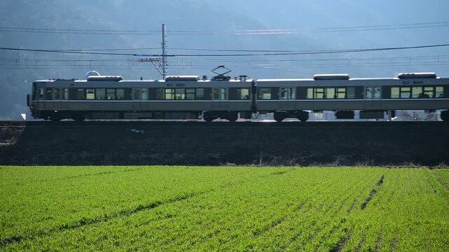 春の安土を走る223系普通列車 （東海道本線 安土 - 能登川, 2025年3月）
