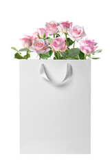 Obraz premium Valentine's day surprise. Beautiful pink roses in gift bag isolated on white