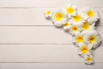 Obraz premium Beautiful plumeria flowers on white wooden background