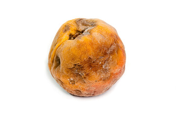Rotten Peach With Mold: Spoiled Produce, Decay, Edible Waste, and Kitchen Hygiene