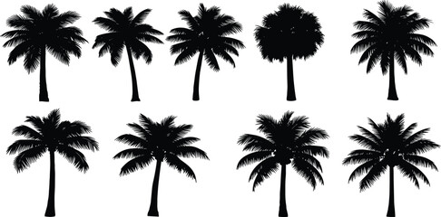 Fototapeta premium Collection of various palm tree silhouettes arranged in a grid pattern on a clean background viewed from a straightforward perspective