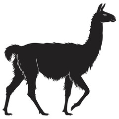 Obraz premium A black silhouette of a llama walking to the right on a white background.