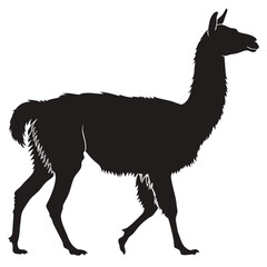 Obraz premium Silhouette of a llama walking against a white background.