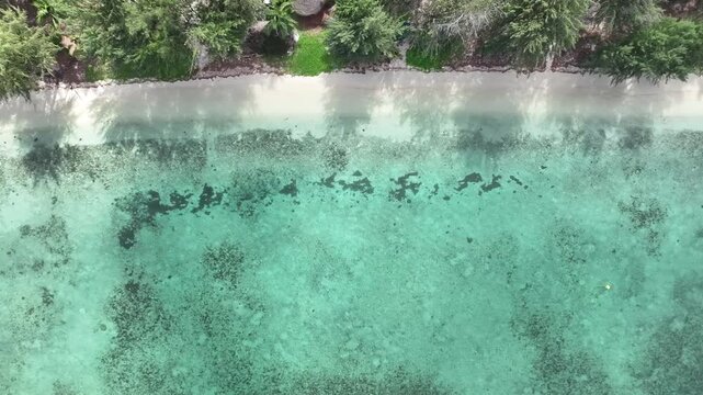 A stunning aerial drone shot capturing the calm and crystal-clear emerald waters of Saipan&rsquo;s west coast. Features beautiful coral reefs visible through the transparent sea.