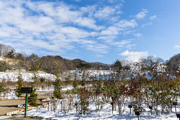 雪景色のぎふワールドローズガーデン ローズテラスとバラ回廊の冬風景