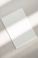 우아한 그림자 카드 목업