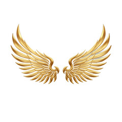 Fototapeta premium Pair of gold wings with diamonds wings on black background with white.