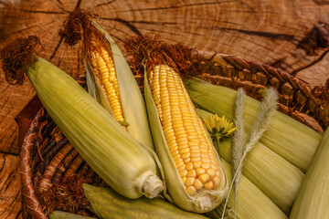 ELOTE MASORCA © Wiliam