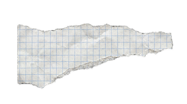 Torn piece of graph paper with rough edges.