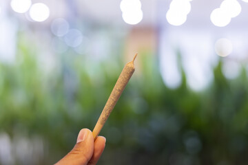 Close up of hand holding pre rolled marijuana joint, thin cannabis cigarette for smoking. product for recreational use evokes feeling of calm and relaxation