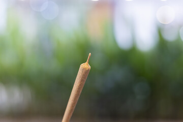Single, unlit cannabis joint pre roll for smoking. This relaxing marijuana cigarette offers sense of calm against natural, soft focus green background with bokeh effect