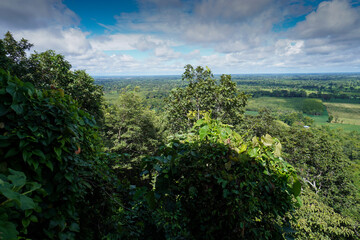 Obraz premium Native unspoiled landscape showing native trees surviving in agricultural dominated landscape environmental issues viewed from mountain top