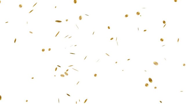 3d golden coins falling down, realistic gold coins falling in slow motion, 4k loopable overlay. Coin rain with alpha channel.