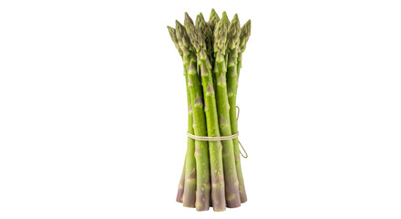 Freshly harvested green asparagus spears tied together on a solid black background