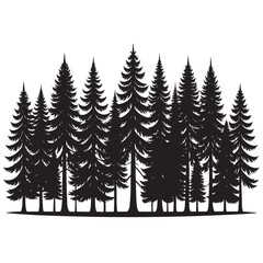 Obraz premium Black silhouette of a dense forest of pine trees with tall evergreen conifers