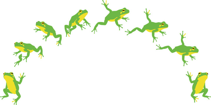 Jumping Frog Movement Vector Illustration Showing Sequential Leap Positions for Animation, Biology, Motion Study, and Educational Nature Designs