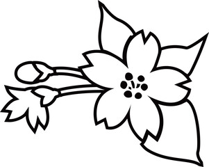 桜の花と葉とつぼみのアウトライン白黒線画イラスト 透明背景