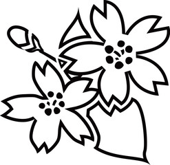 桜の花と葉とつぼみのアウトライン白黒線画イラスト 透明背景