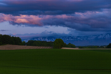 北海道美瑛2025春-畑のある風景-08