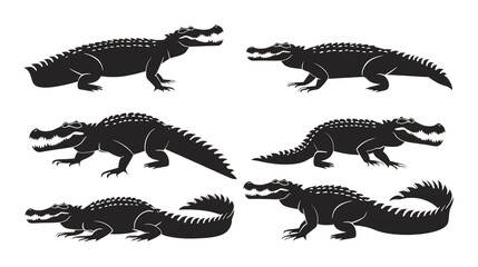 Fototapeta premium Set of diverse alligator silhouettes in various poses against a clean white background