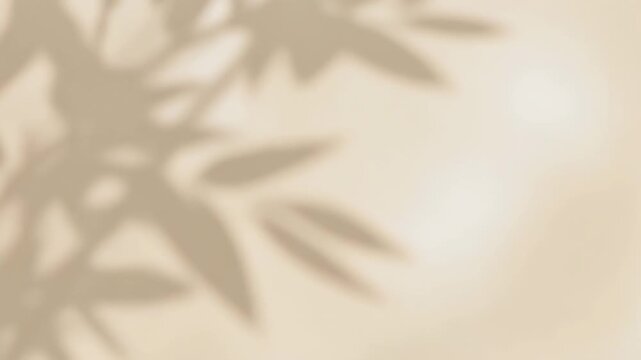  4K minimal beige background with soft white light overlay, gentle abstract plant shadows swa