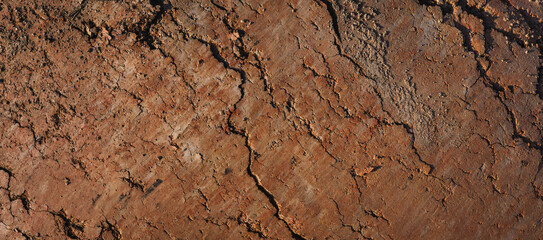 Fototapeta premium dirt field with few rocks scattered around