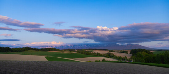 北海道美瑛2025春-畑のある風景-06
