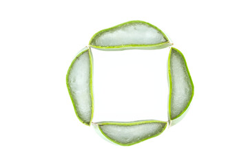 Fresh aloe vera slices arranged in a square frame on a white background