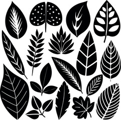 Decorative Black Botanical Leaf Silhouettes Nature Design Set  isolated  on white background.