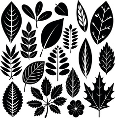 Hand Drawn Black Leaf Silhouettes Botanical Nature Collection  isolated  on white background.