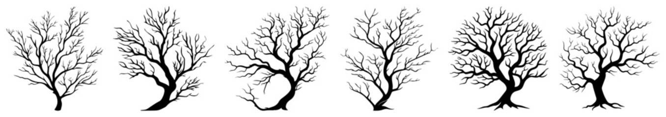 Obraz premium Collection of bare winter tree silhouettes with detailed branches isolated on white