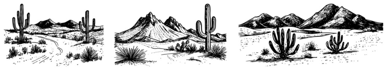 Obraz premium Panoramic desert landscapes with cactus plants and mountains in sketch style