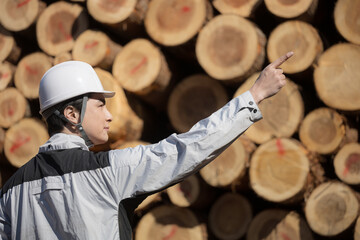 建築現場などで丸太や建材の木材を背景にヘルメットをつけた未来を見つめる男性の横顔(多摩木材センター協同組合プロパティ許可ずみ）	