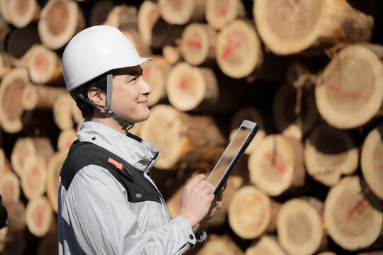 建築現場などで丸太や建材の木材を背景にヘルメットをつけた男性の横顔　タブレットを持つ(多摩木材センター協同組合プロパティ許可ずみ）	
