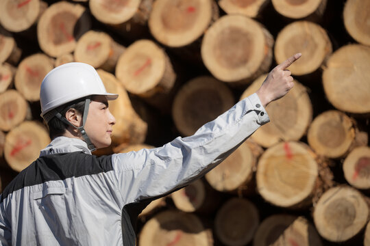 建築現場などで丸太や建材の木材を背景にヘルメットをつけた未来を見つめる男性の横顔(多摩木材センター協同組合プロパティ許可ずみ）	