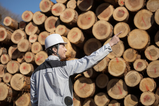 青空の建築現場などで丸太や建材の木材を背景にヘルメットをつけた男性(多摩木材センター協同組合プロパティ許可ずみ）	