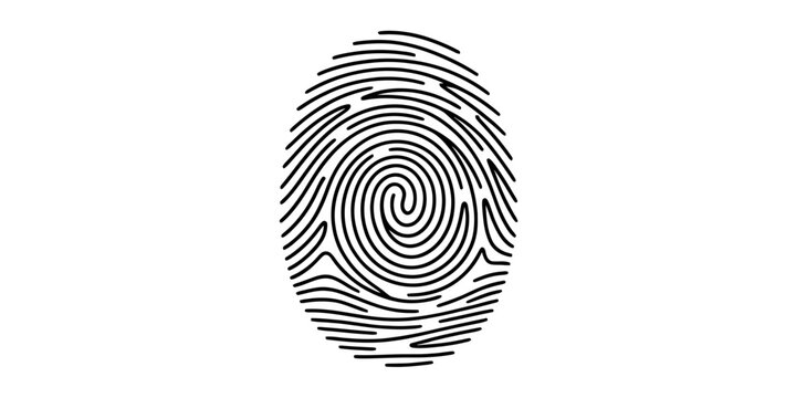 Black and white illustration of a spiral fingerprint pattern for personal identification Vector, illustration