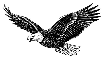Obraz premium Flying bald eagle engraving style sketch Vector illustration of bird of prey with open wings