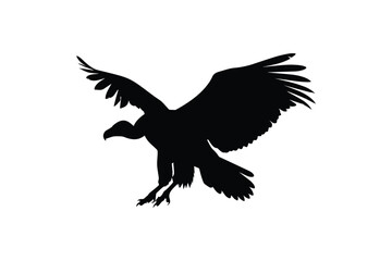 Fototapeta premium Andean condor silhouette a majestic bird of prey in flight with powerful wings outstretched